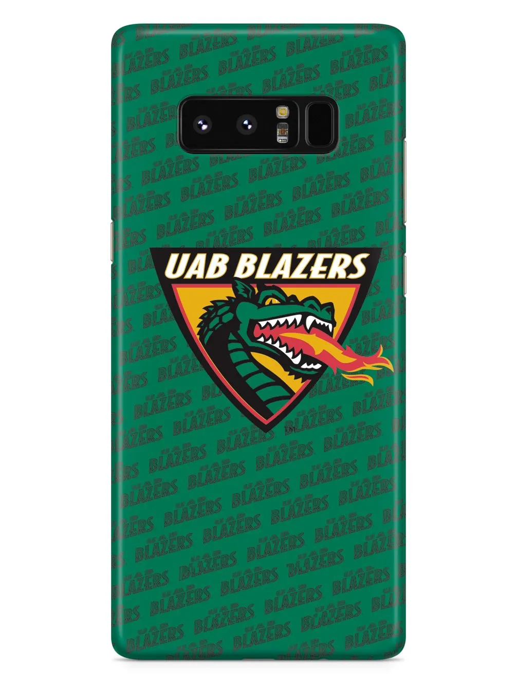 University of Alabama at Birmingham - UAB Blazers Case